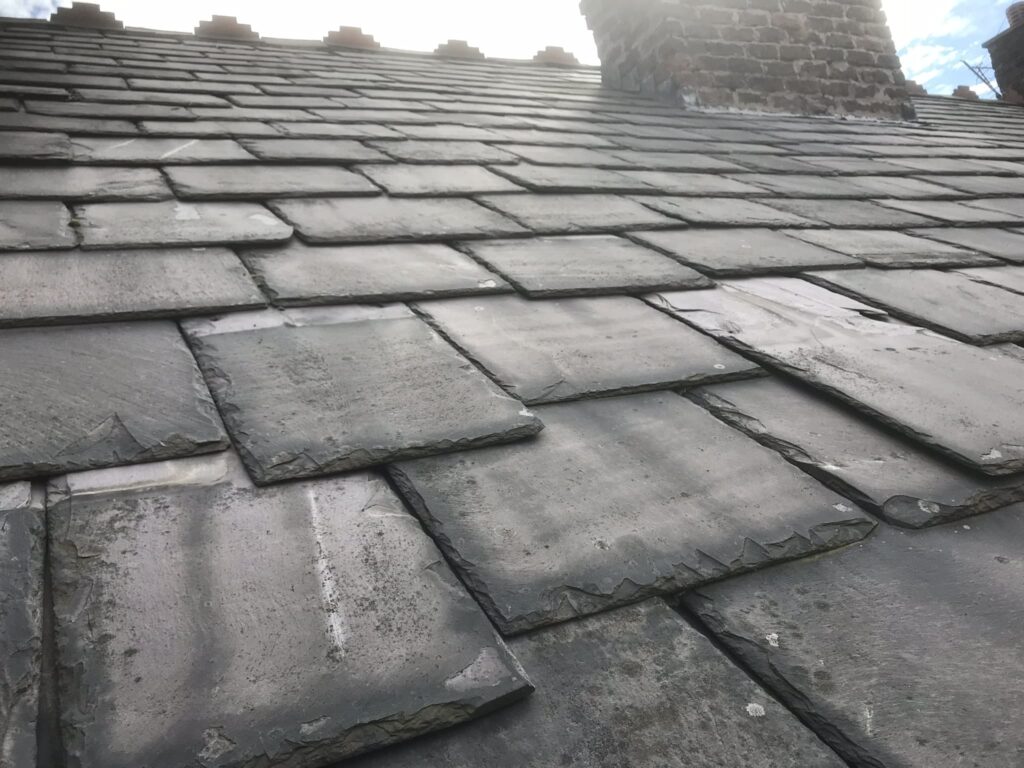 Roof Leak Repairs in Selly Oak